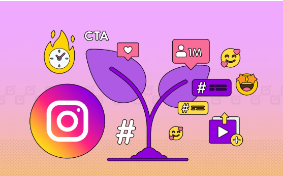 How to Grow Your Instagram Following Organically