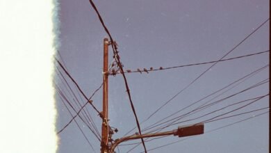 business support phone number