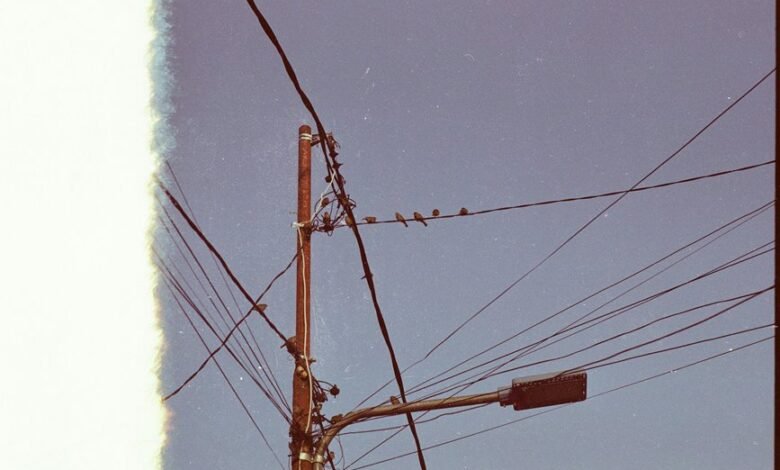 business support phone number