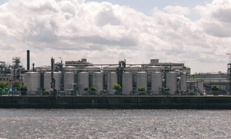 discover top energy stocks