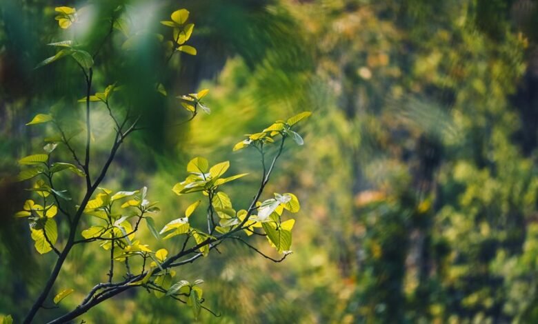 energy stocks show growth