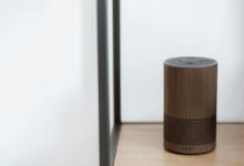 digital echo fusion vector