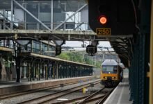 echo signal bridge location