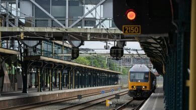 echo signal bridge location