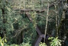 endless opportunity ahead