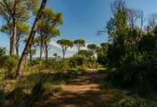 horizon flow growth strategy