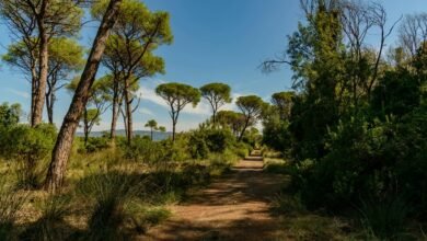 horizon flow growth strategy