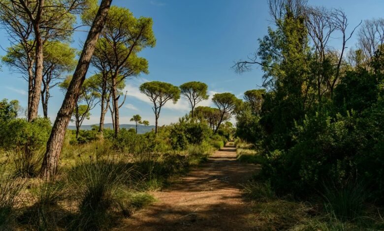 horizon flow growth strategy