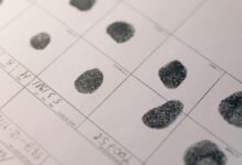 identification report overview