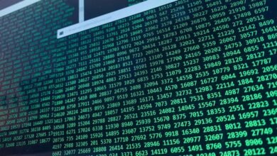 long alphanumeric string identifier