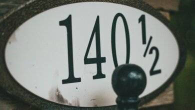 numeric identifier 3238094132 overview