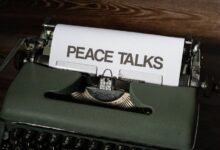 overview of 3348310681 significance