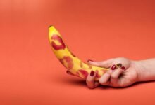 sex education guide for beginners
