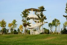 why embedtree com matters more
